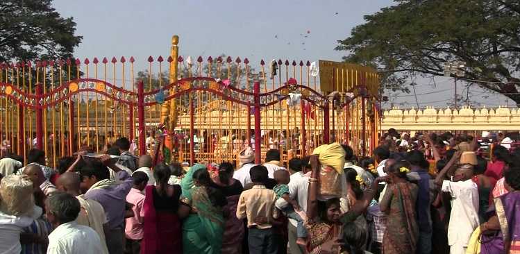 Medaram Jatara: 20L pilgrims offer prayers