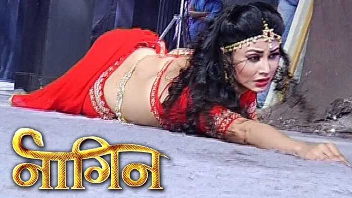 Naagin 22nd May 2016 Today Episode Written Updates
