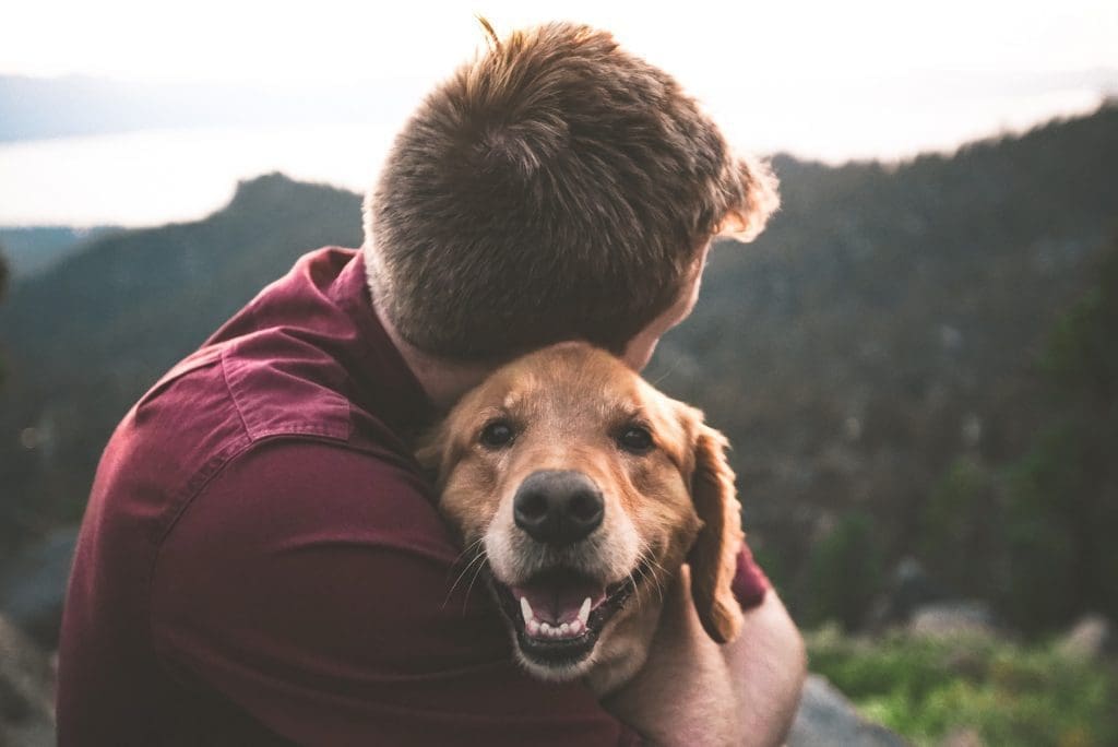 7 Ways Pets Can Help Improve Mental Health